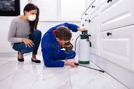 Best Fumigation Services  in Paulina, LA