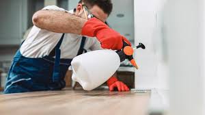 Best Residential Pest Control  in Paulina, LA