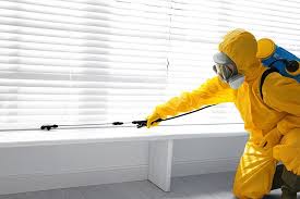 Best Termite Inspection and Treatment  in Paulina, LA